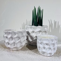 Large Flower Pot
