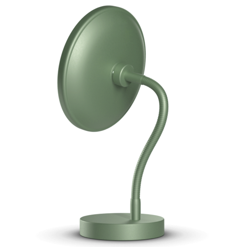 Non-illuminated mirror with stand and gooseneck