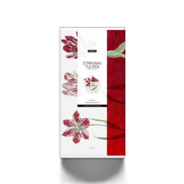 Hendrik' Vaso Pieghevole/Fiocco Vaso 'Tulips'