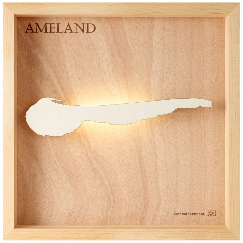 MAPA DE LUZ DE ISLA DE MADERA 3D DE AMELAND (LED)