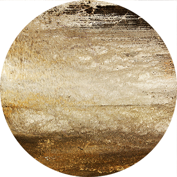 EarthTone II