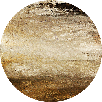 EarthTone II
