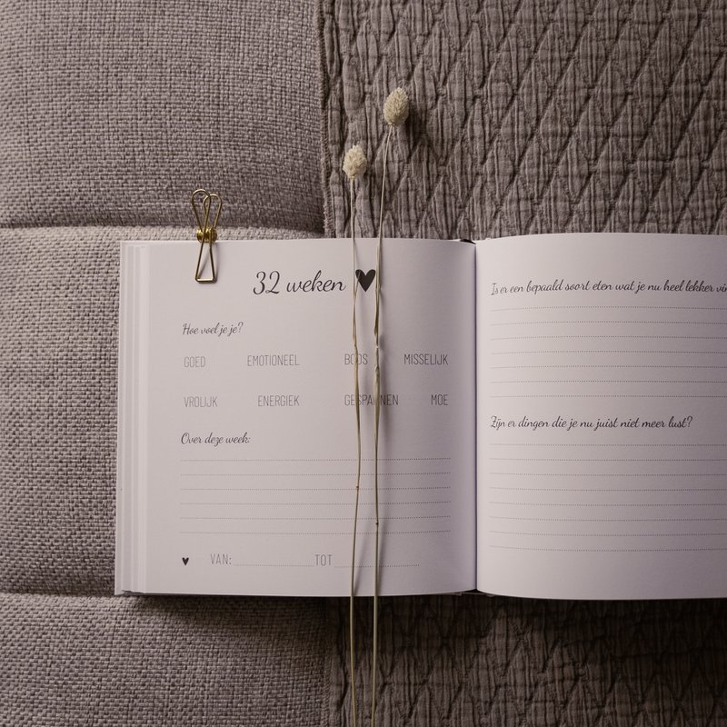 Pregnant - My 9 Month Diary