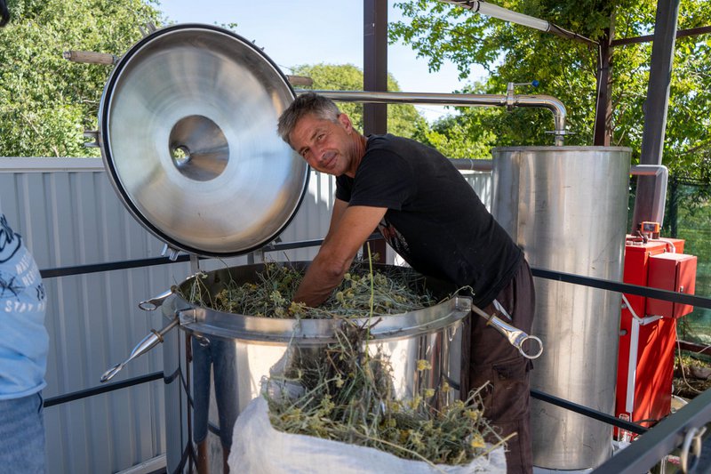 Guldregenererende balsam 30 ml