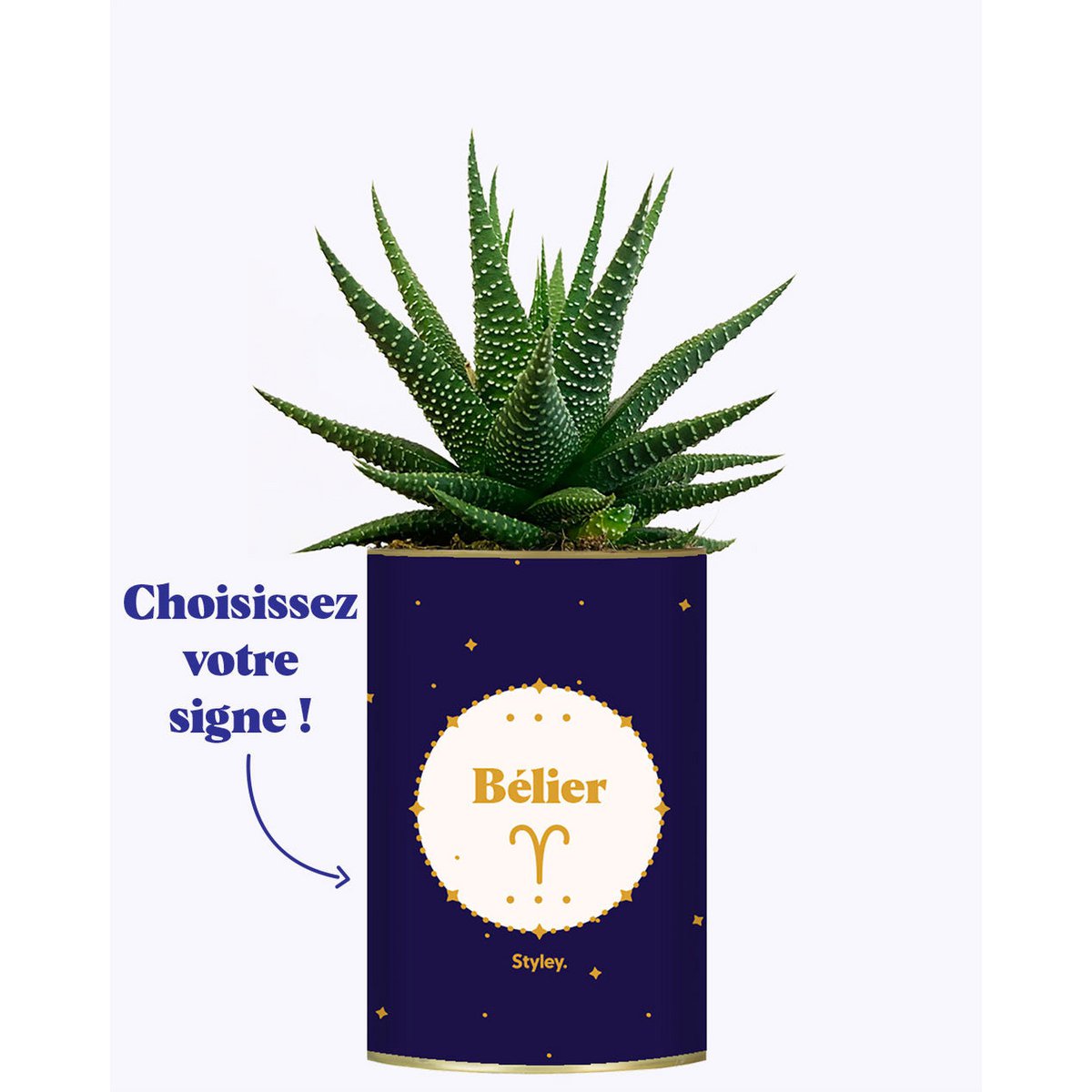 Astrologie - Plante zodiac