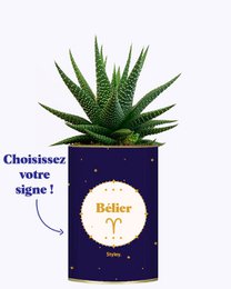 Astrologi - Plante stjernetegn