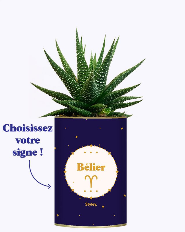 Astrologi - Plante stjernetegn