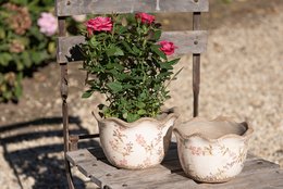 Blumepot Ø 17x11 cm Beige Pink Keramik Blumenpot im Inneren