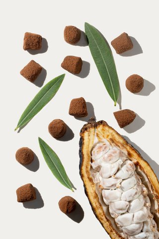 Vegane Schokoladentrüffel – Großpackung