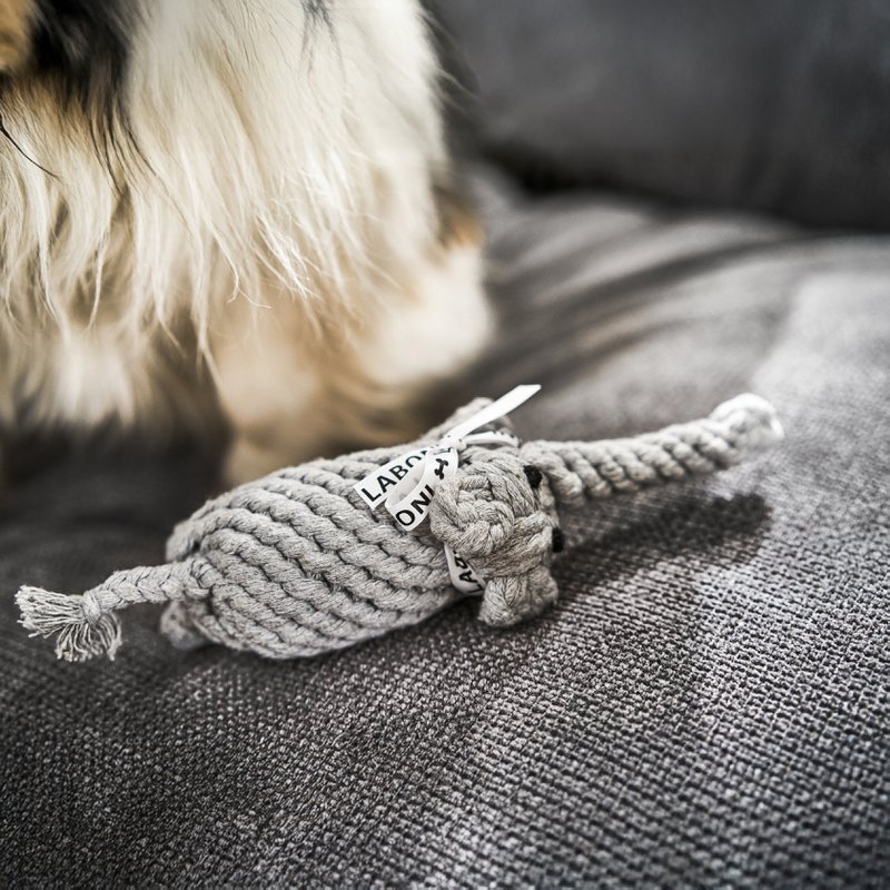 Elton Elephant Jr. - cultspeelgoed voor honden
