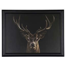 Schoßkissen schwarz rot Hirsch 43cm