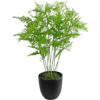 Künstliche Pflanze Spargel 59 cm