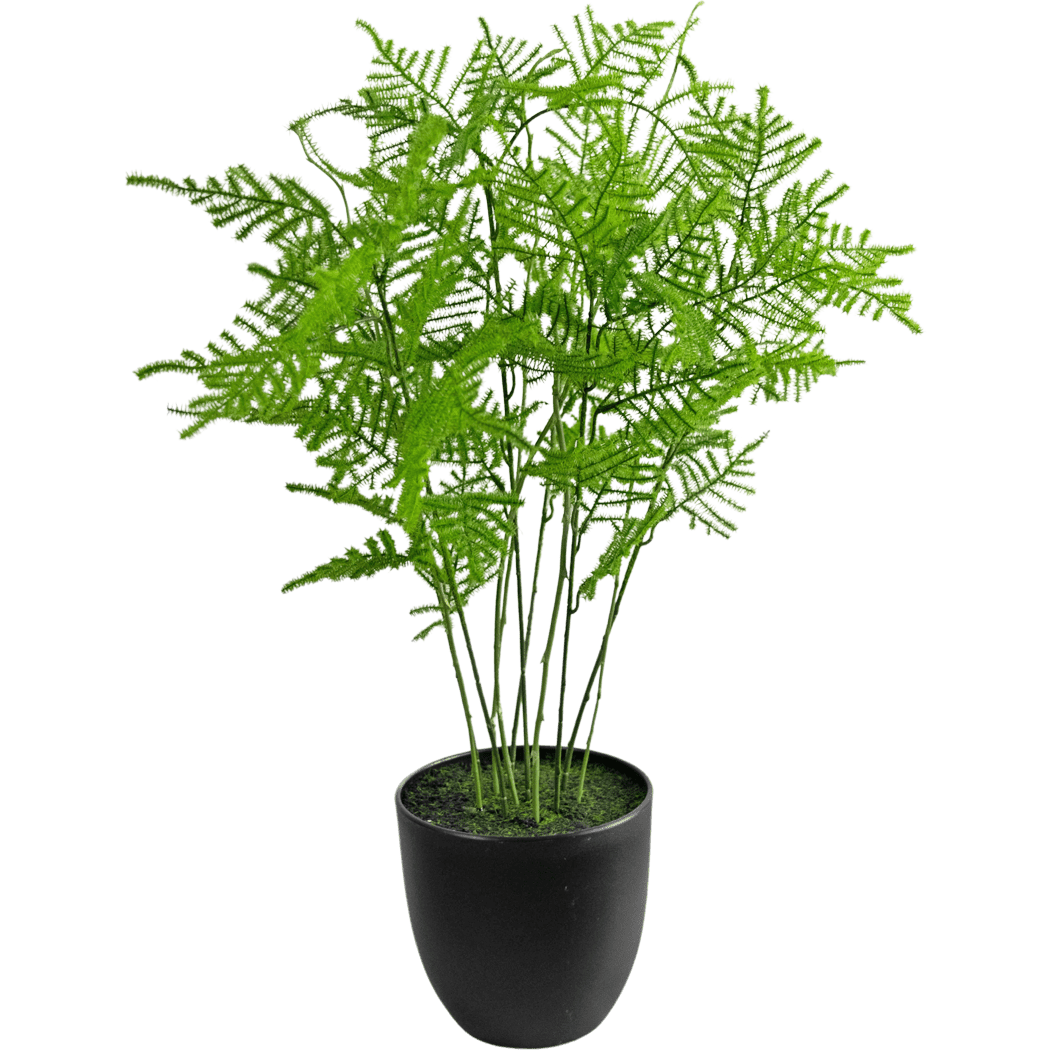Kunstplant Asperges 59 cm