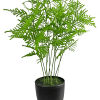 Artificial plant Asparagus 59 cm
