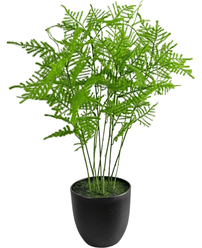 Kunstig plante Asparges 59 cm