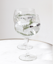 Virgin Gin Tonic