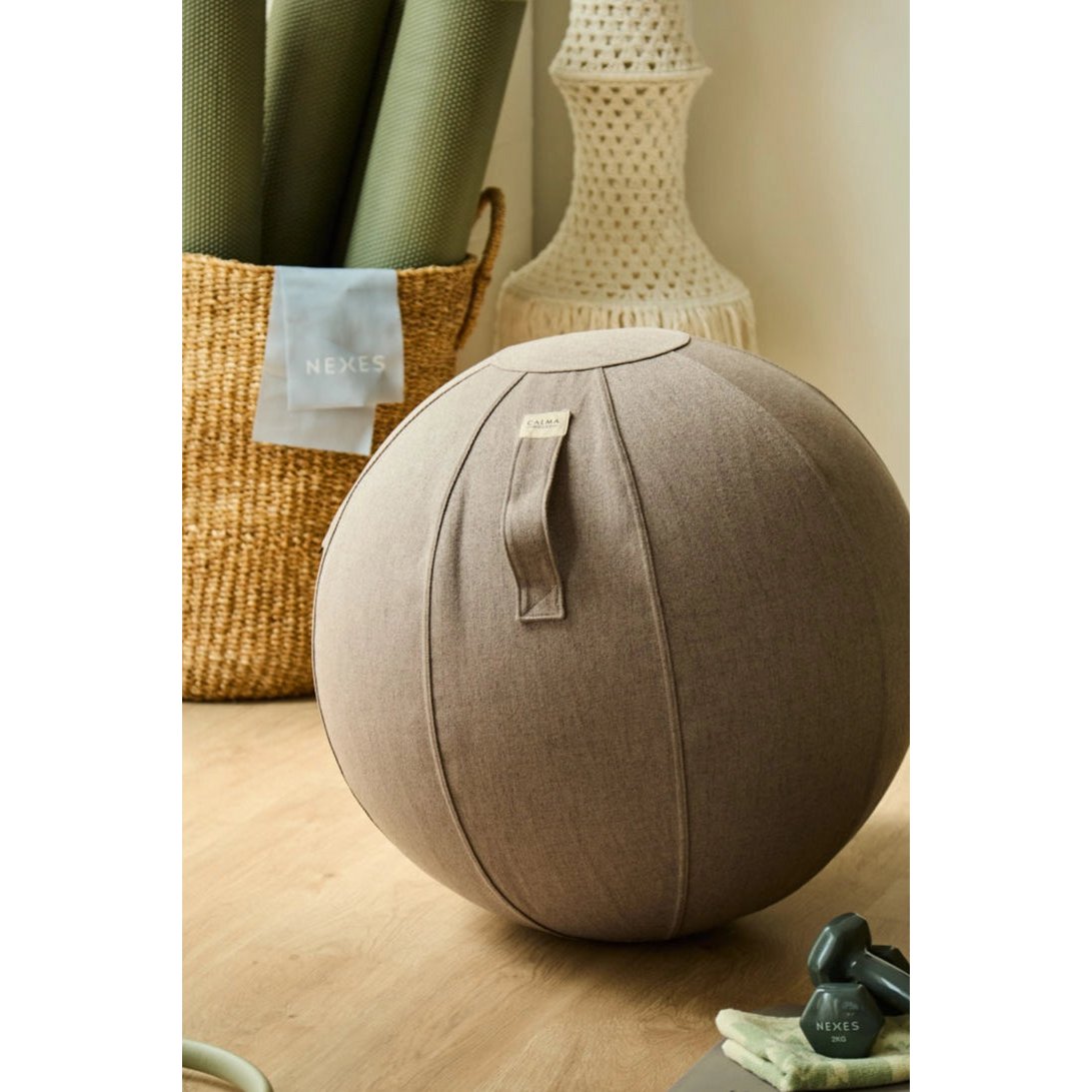 Gray Ergonomic Ball Sphere