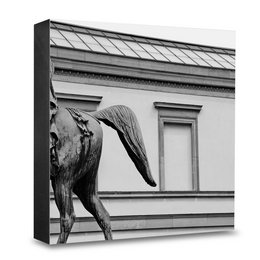 Monochrome image of a stone sculpture of a horse on the facade of a building. The sculpture appears to be a decorative architectural element.