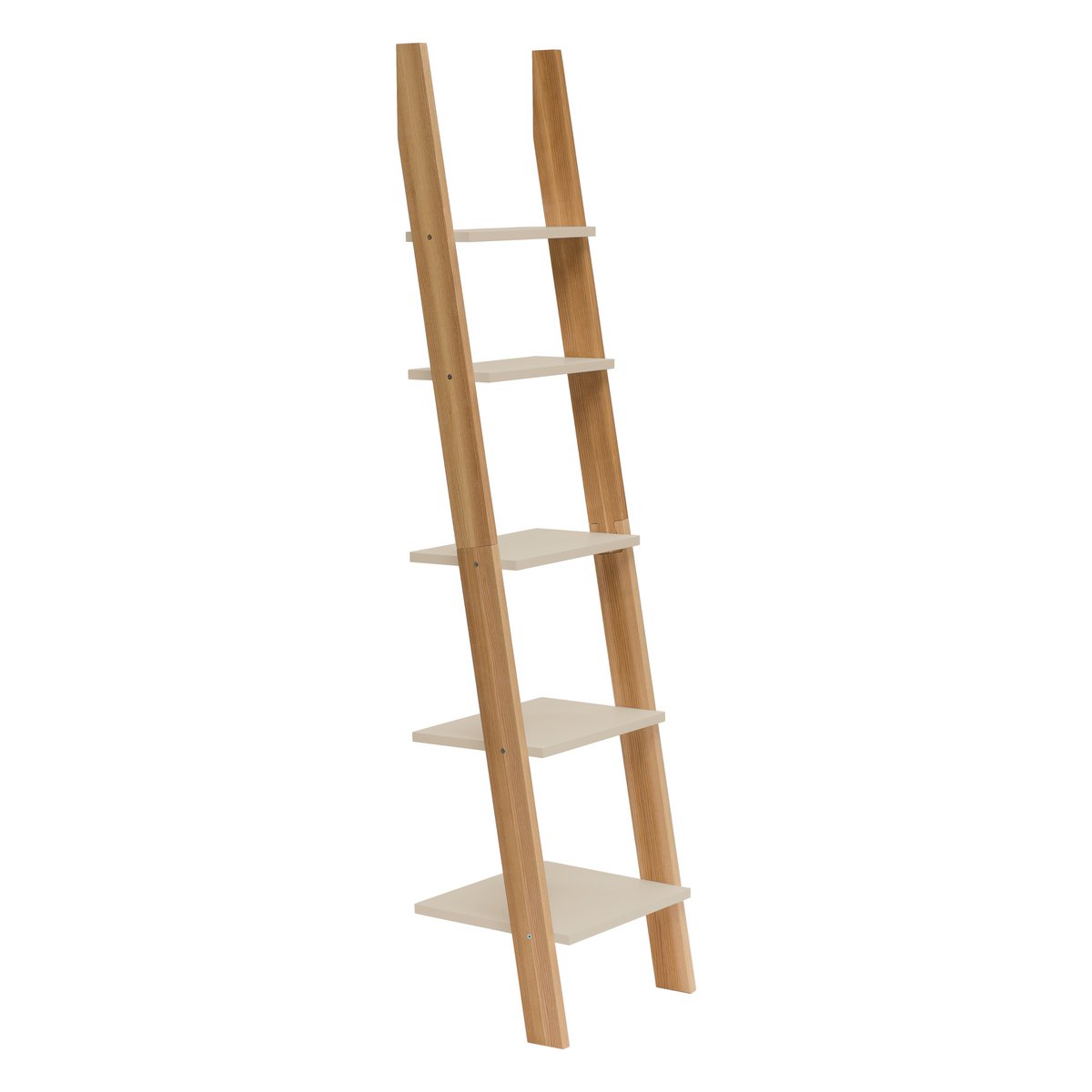 ASHME Laddershelf