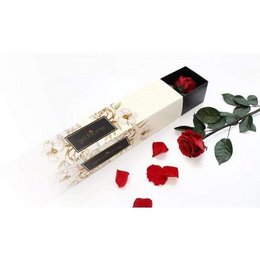 Long-stemmed red rose in a gift box, available in black, cream, and white color variants.