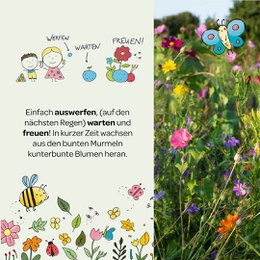 Blumenmurmeln Naturabenteuer, 100er Dose