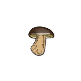 Emaille Pin "Boletus"