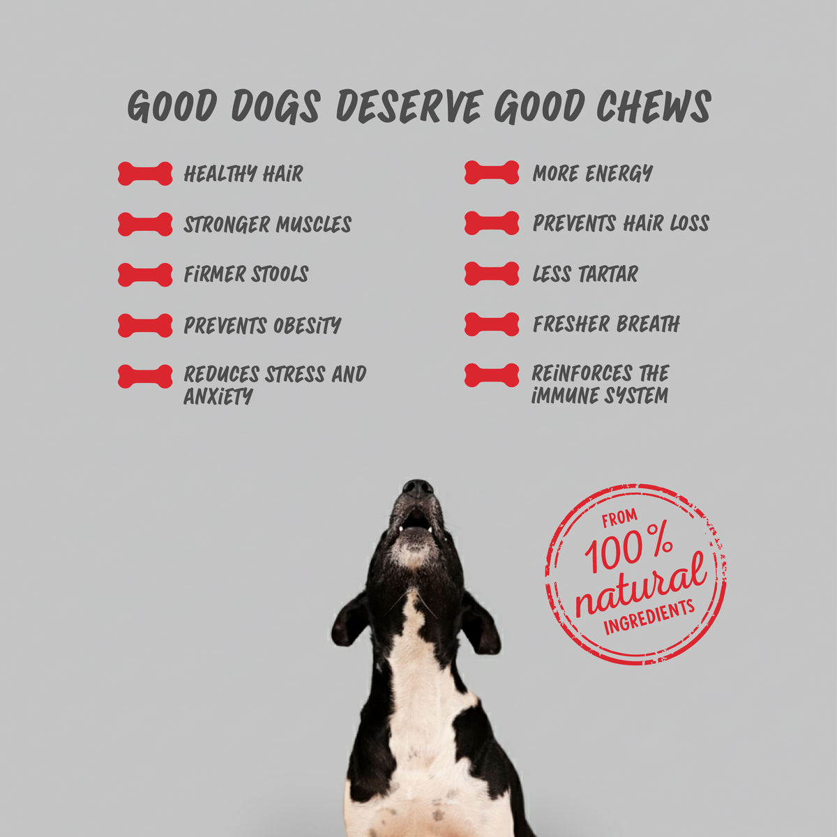 Laikabone Dog Dental Chew - Cheese & Beef (Box)