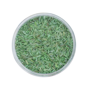 Playing rice | Forest green