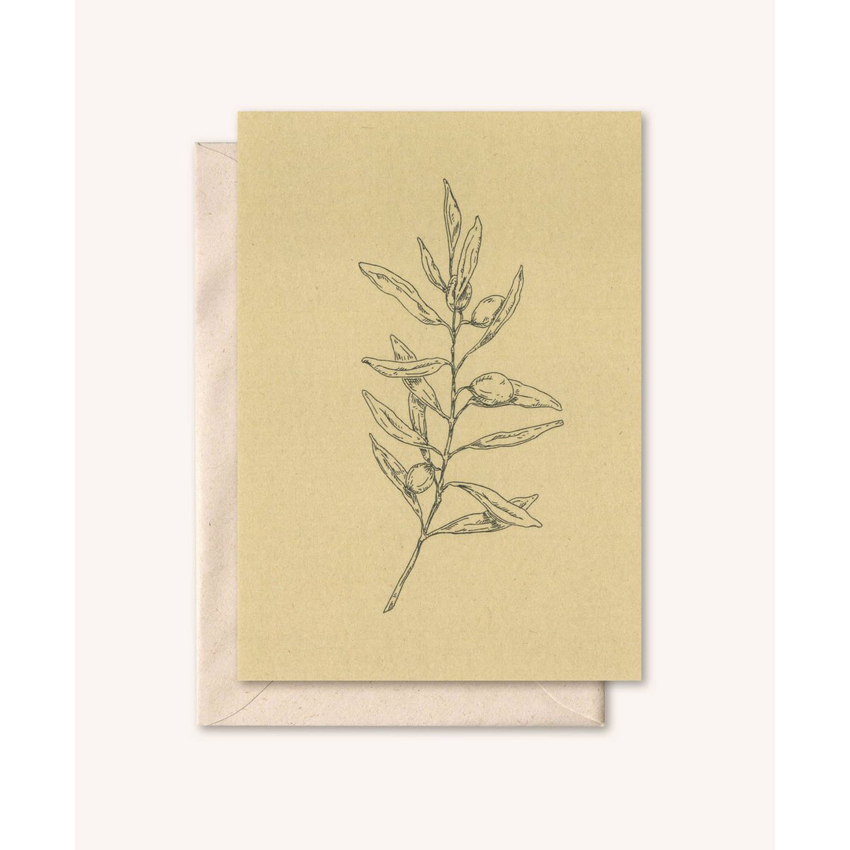 Duurzame kaart + envelop | Olijftak | Walnoot
