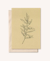Sustainable card + envelope | Olive branch | Walnut