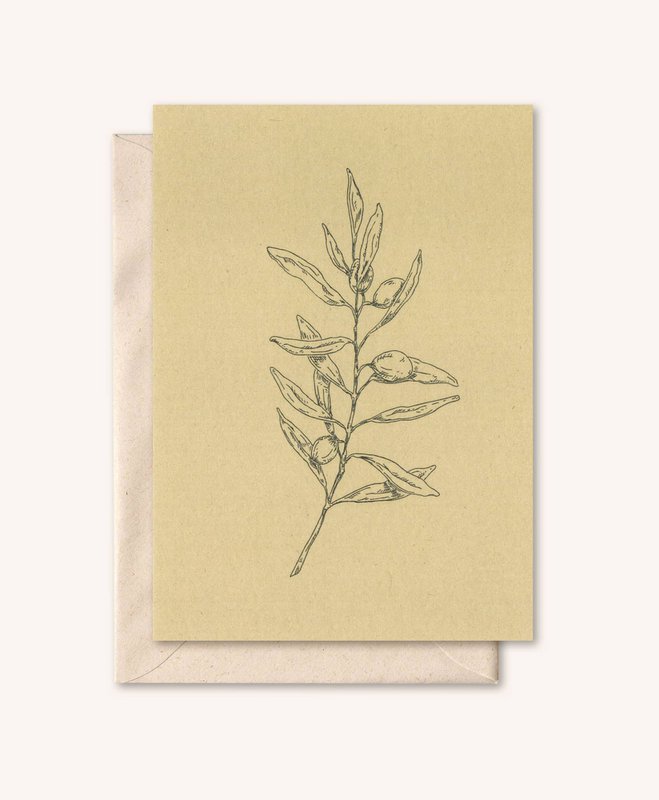 Sustainable card + envelope | Olive branch | Walnut