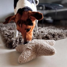 Snufflestar Greige