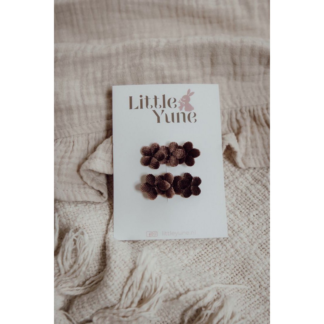 Alligator | Soft Flowers - Cacao