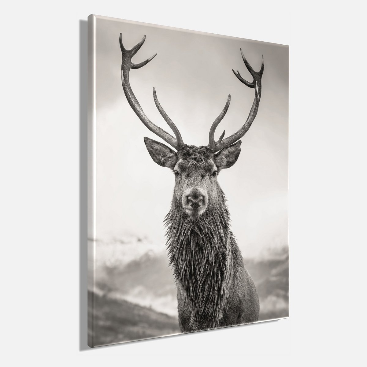 Wandfoto HERTEN 46x61 cm canvas foto spieraam decoratie modern