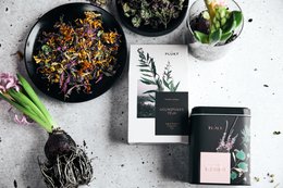 Nordic Tea BLOSSOM - thé en vrac