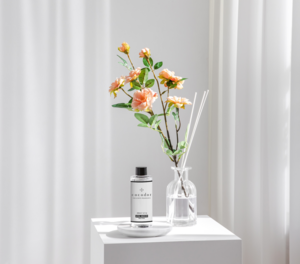 Cocodor 200ml Nachfüllpackungen