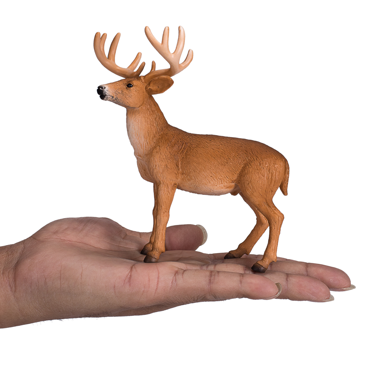Mojo Woodland Toys White -Tail Dhert Bok - 387038