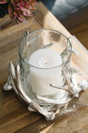 EDZARD lantern Kingston, antler design, aluminum, silver-colored, with glass, height 13 cm, ø 15 cm