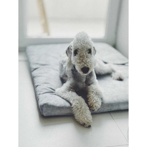 Madras "Soft" til en hund og en kat - genbrugt