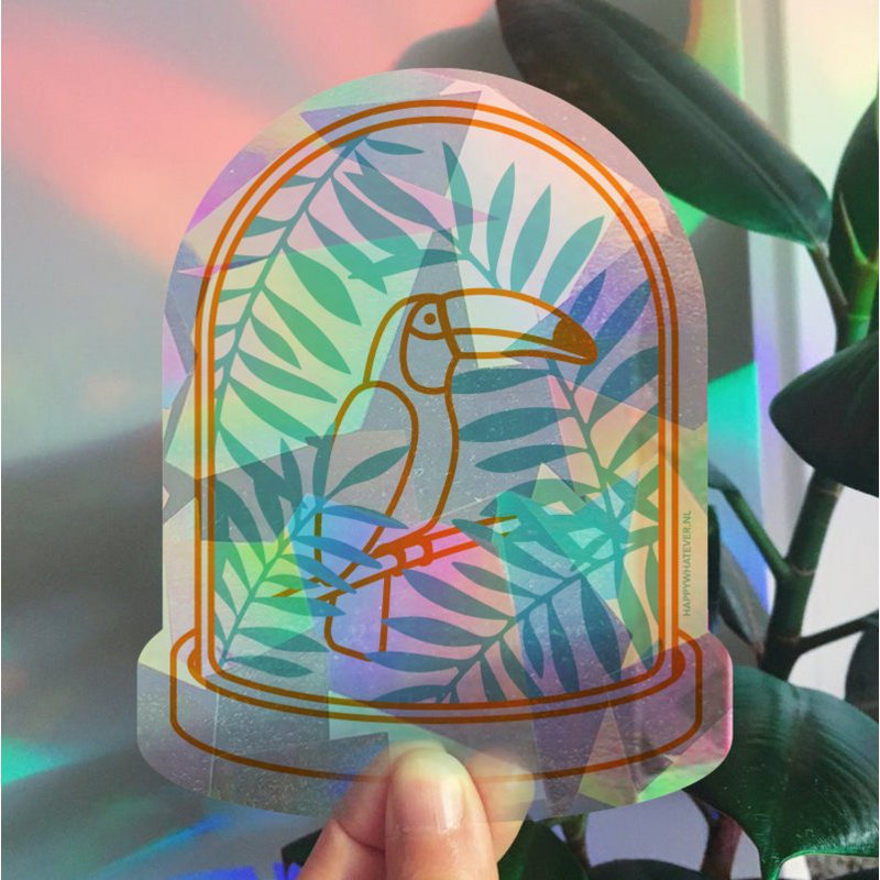 Adesivo/carta per finestra Rainbowmaker - Tukan