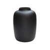 Vaas - Artic black
