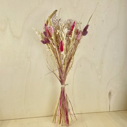 Bukiety BLOOMY Suszone kwiaty Beżowy