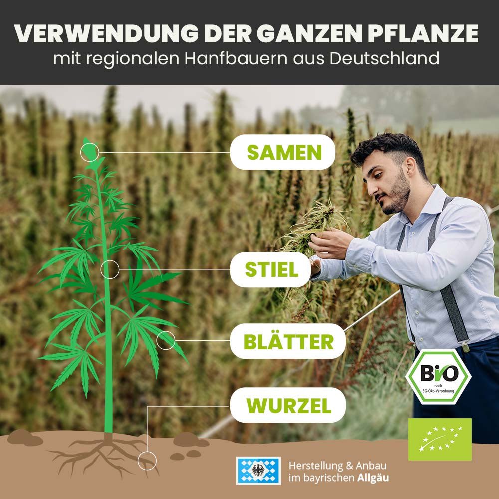 SANUUS Semi di canapa biologici dell'Allgäu pelati da semi di canapa tostati 250g
