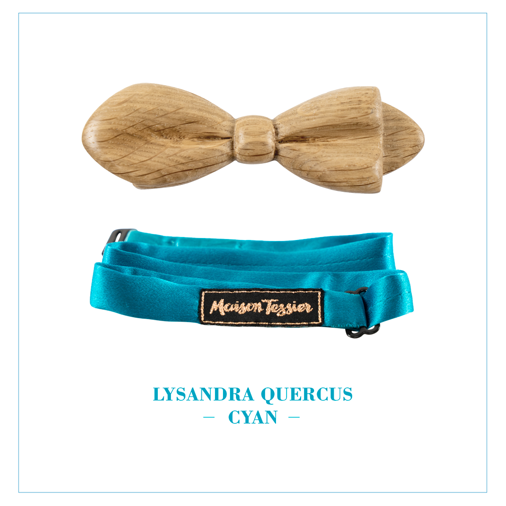 LYSANDRA QUERCUS