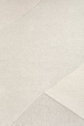 100% wool rug Rose 200x290 cm beige tone on tone