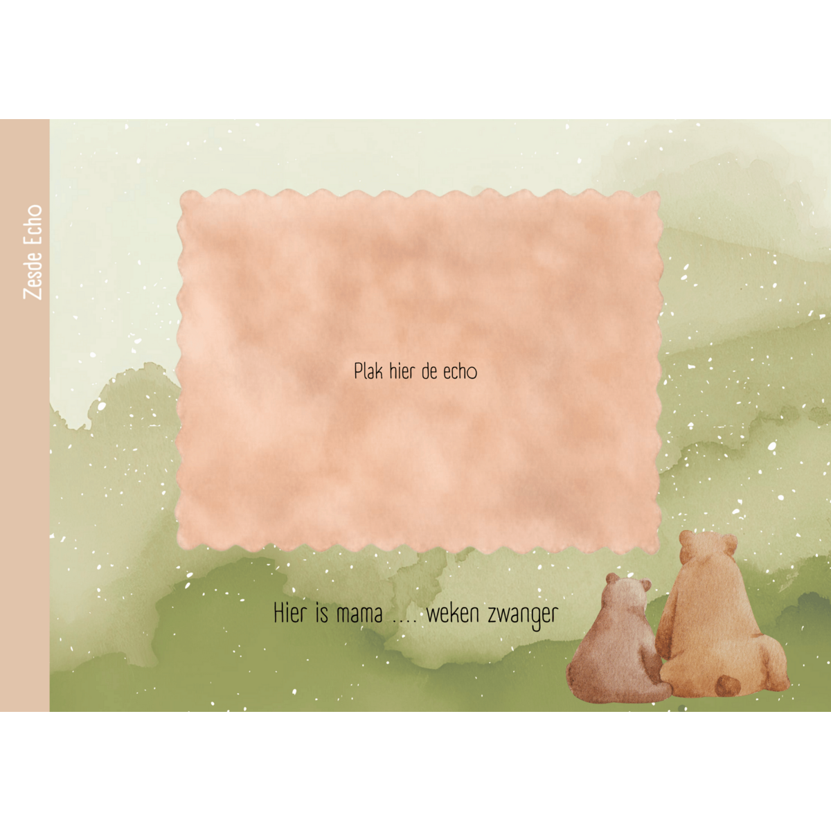 Libro de ultrasonidos - Amigos del bosque