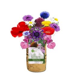 Colorful assortment of butterfly flowers in a nursery garden container. Includes a variety of vibrant blooms in shades of purple, orange, and yellow.