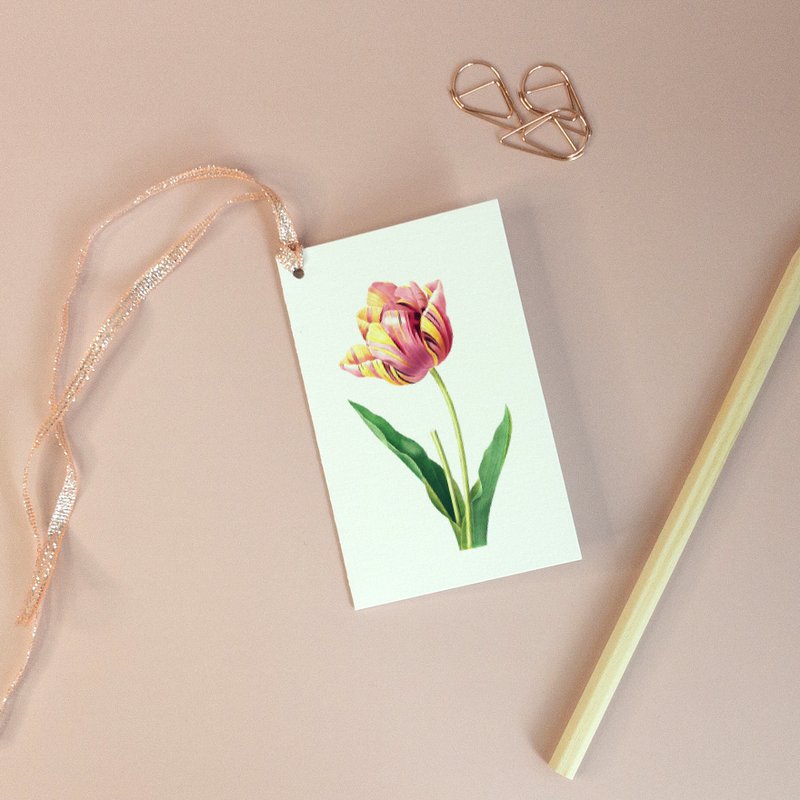 Pink Tulip, Gift Tag - Botanical Vintage