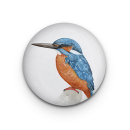Decorative magnet Kingfisher