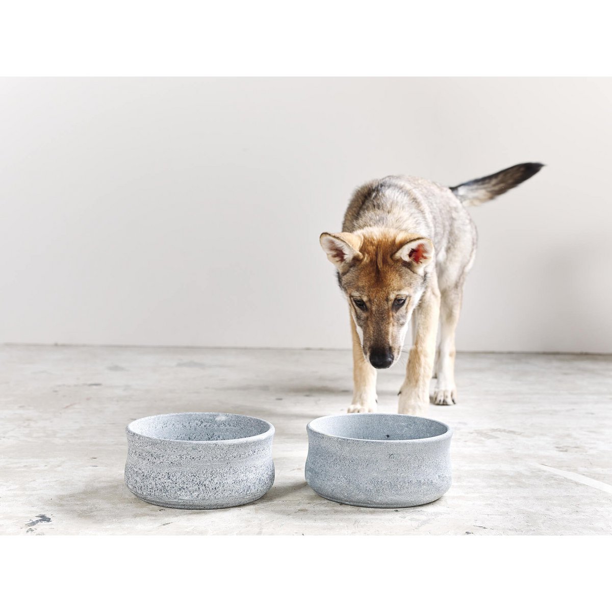 ROCKY - elegante ciotola per cani e gatti